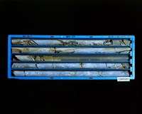 登錄號:C005203藏品圖，第2張