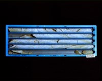 登錄號:C005206藏品圖，第2張