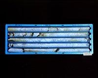 登錄號:C005207藏品圖，第2張