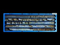 登錄號:C005208藏品圖，第1張