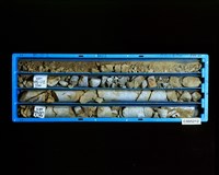 登錄號:C005212藏品圖，第2張