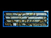 登錄號:C005213藏品圖，第1張