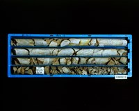 登錄號:C005213藏品圖，第2張