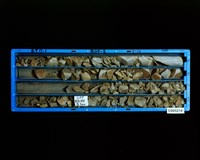 登錄號:C005214藏品圖，第2張