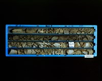 登錄號:C005215藏品圖，第2張