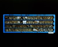 登錄號:C005216藏品圖，第2張