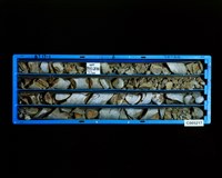 登錄號:C005217藏品圖，第2張