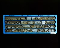 登錄號:C005218藏品圖，第2張