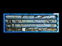 登錄號:C005219藏品圖，第1張