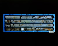 登錄號:C005219藏品圖，第2張