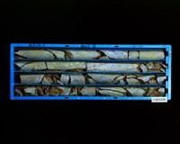 登錄號:C005220藏品圖，第2張