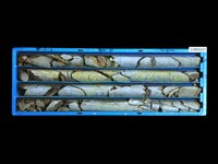 登錄號:C005221藏品圖，第1張