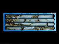 登錄號:C005222藏品圖，第1張