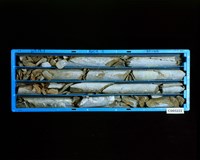 登錄號:C005222藏品圖，第2張