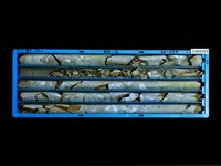 登錄號:C005223藏品圖，第1張