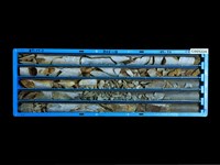 登錄號:C005224藏品圖，第1張