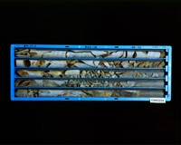 登錄號:C005224藏品圖，第2張