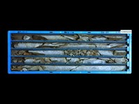 登錄號:C005225藏品圖，第1張