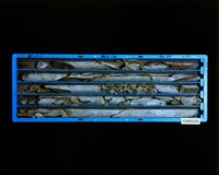 登錄號:C005225藏品圖，第2張