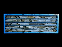 登錄號:C005226藏品圖，第1張