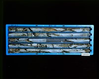 登錄號:C005226藏品圖，第2張