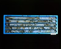 登錄號:C005227藏品圖，第2張