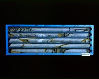 登錄號:C005228藏品圖，第2張