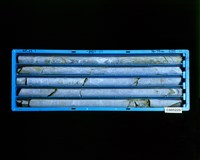 登錄號:C005229藏品圖，第2張