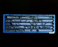 登錄號:C005231藏品圖，第2張