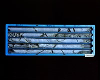 登錄號:C005232藏品圖，第2張