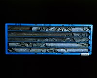 登錄號:C005238藏品圖，第2張