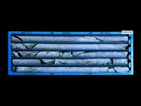 登錄號:C005240藏品圖，第1張