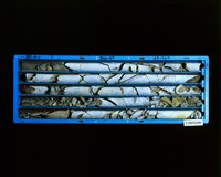 登錄號:C005248藏品圖，第2張