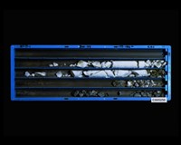 登錄號:C005250藏品圖，第2張