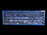 登錄號:C005252藏品圖，第1張