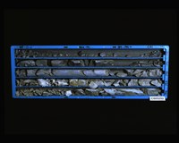 登錄號:C005252藏品圖，第2張