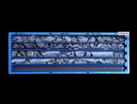 登錄號:C005253藏品圖，第1張