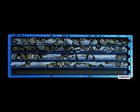 登錄號:C005253藏品圖，第2張