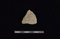 陶片藏品圖，第1張