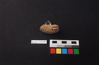 陶片藏品圖，第4張