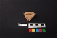 陶片藏品圖，第2張