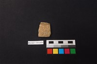 陶片藏品圖，第1張