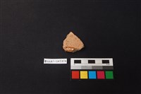 陶片藏品圖，第2張