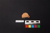 陶片藏品圖，第2張