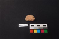 陶片藏品圖，第2張