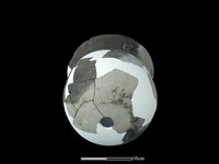 陶甑藏品圖，第4張