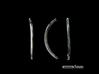 鼠類骨藏品圖，第1張