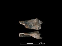 獐骨藏品圖，第1張