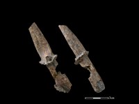 山羌骨藏品圖，第1張