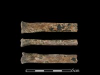 狗骨藏品圖，第1張